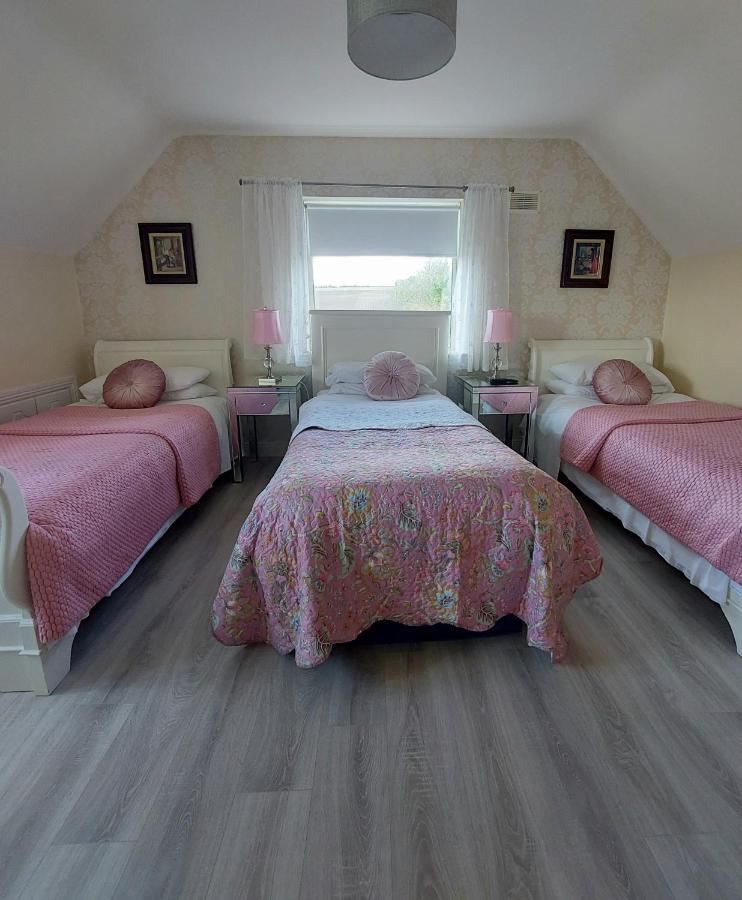 Brandon View House B&B Graiguenamanagh Ngoại thất bức ảnh