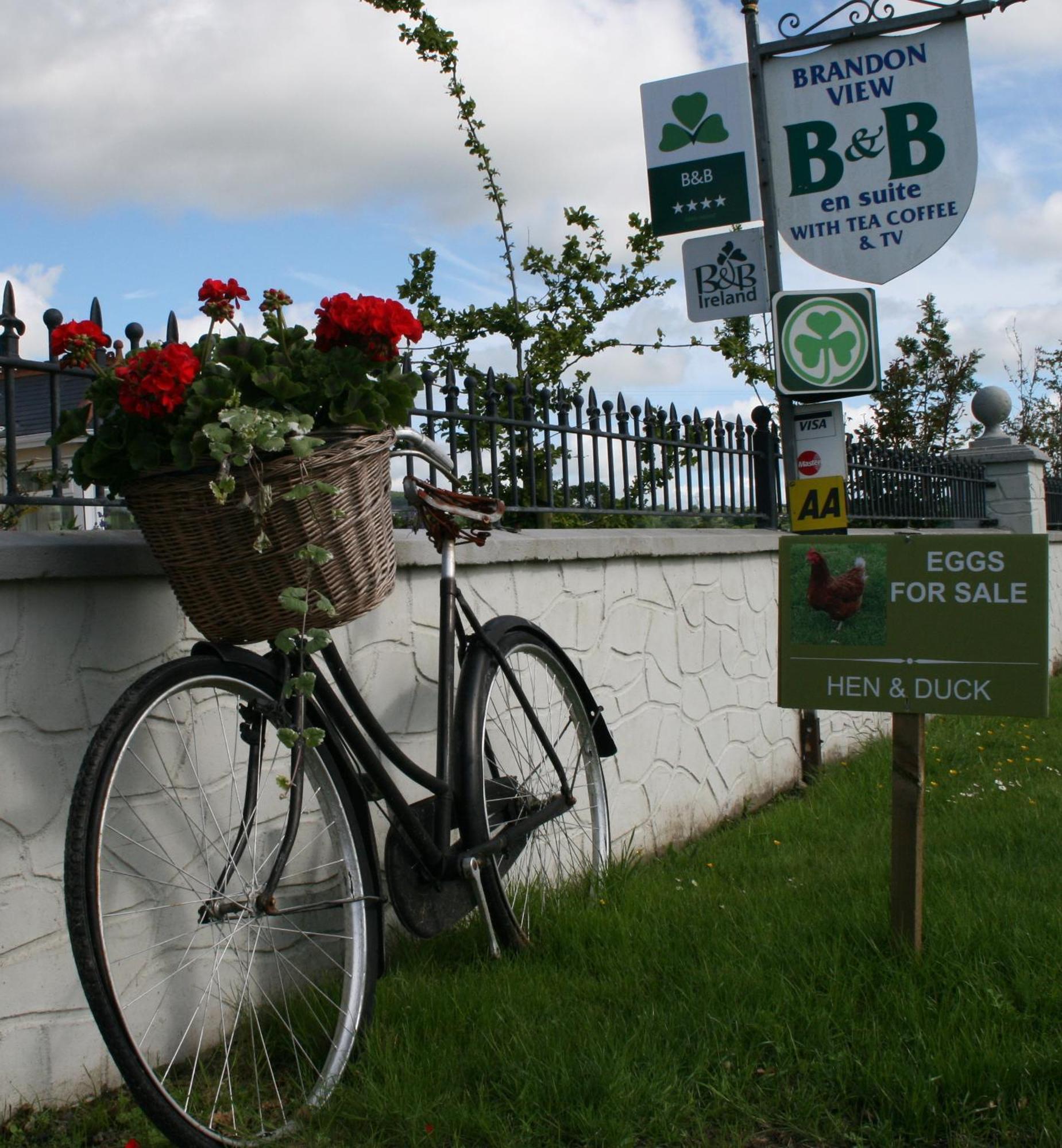 Brandon View House B&B Graiguenamanagh Ngoại thất bức ảnh