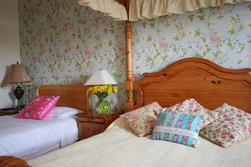 Brandon View House B&B Graiguenamanagh Ngoại thất bức ảnh