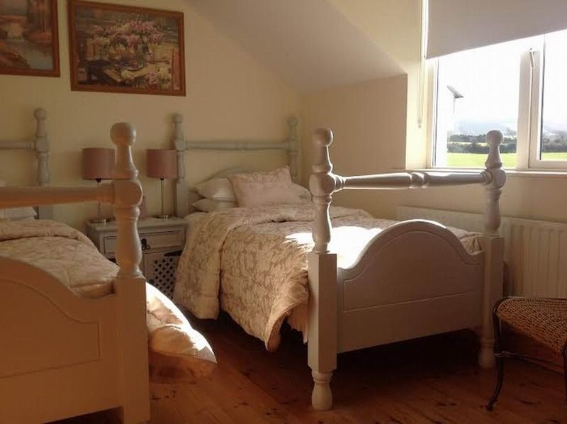 Brandon View House B&B Graiguenamanagh Ngoại thất bức ảnh