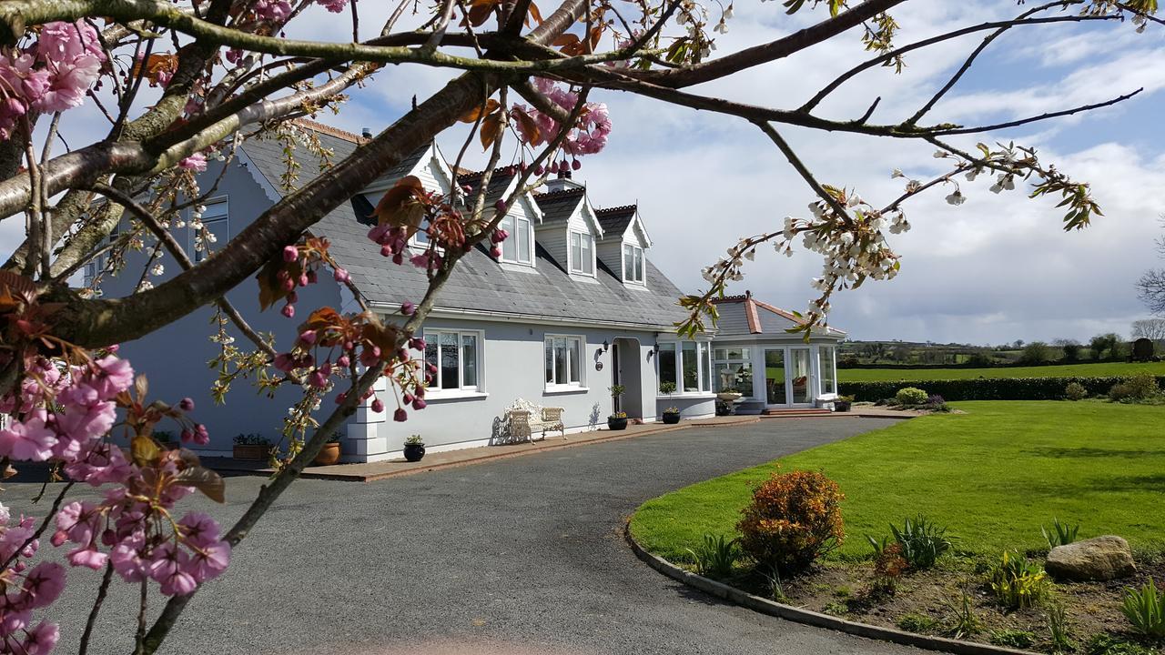 Brandon View House B&B Graiguenamanagh Ngoại thất bức ảnh