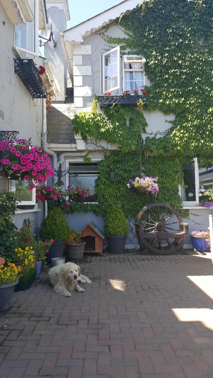 Brandon View House B&B Graiguenamanagh Ngoại thất bức ảnh